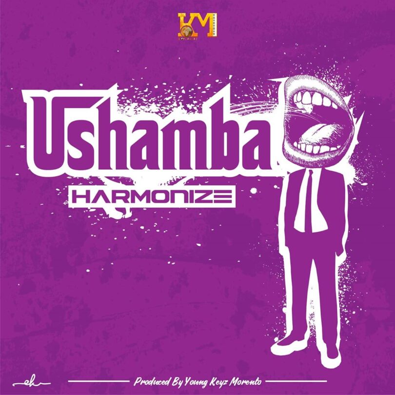 DOWNLOAD MP3 Harmonize - Ushamba