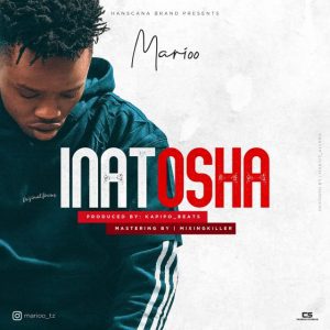 DOWNLOAD MP3 Marioo - Inatosha