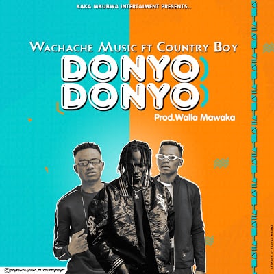 AUDIO Wachache Music Ft Country Boy - Donyo Donyo MP3 DOWNLOAD