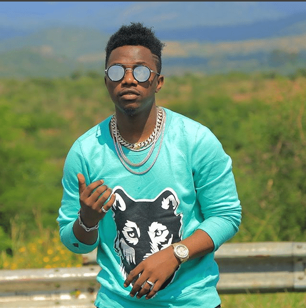 AUDIO Rayvanny Ft. Ney Lee - Rudi MP3 DOWNLOAD