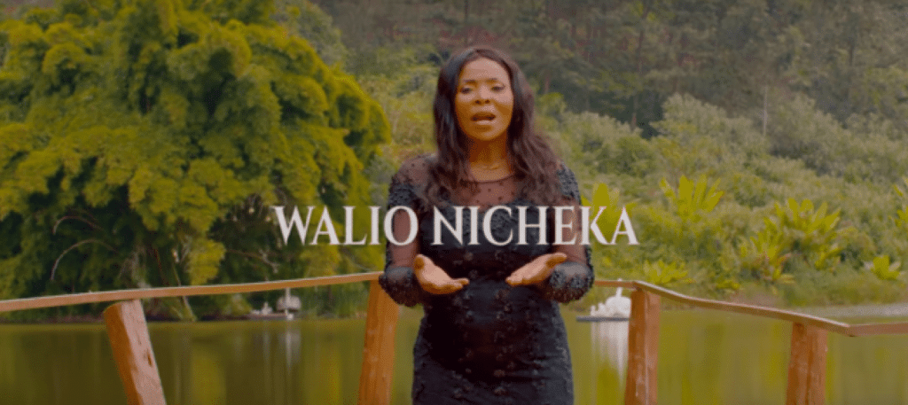 DOWNLOAD MP3 Rose Muhando Ft Ringtone - Walionicheka