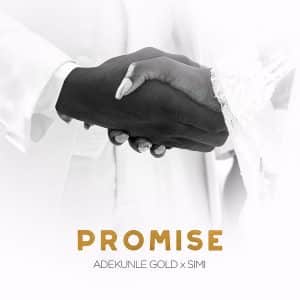 DOWNLOAD MP3 Adekunle Gold - Promise Ft Simi