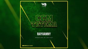 DOWNLOAD MP3 Rayvanny - Ccm Tetema