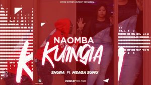 AUDIO Snura Ft Msaga Sumu - Naomba Kuingia MP3 DOWNLOAD