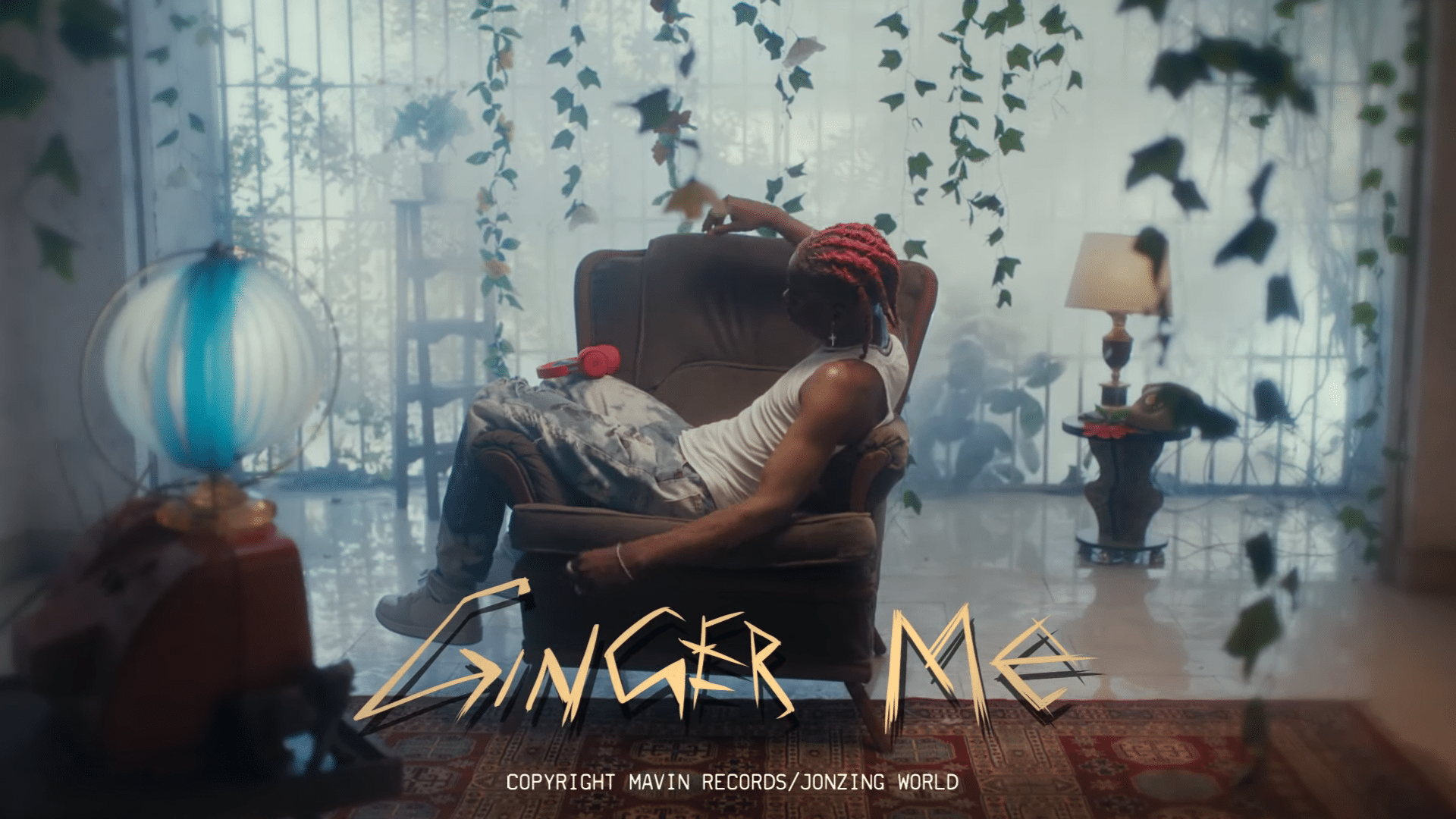 DOWNLOAD VIDEO Rema Ginger Me MP4 — citiMuzik