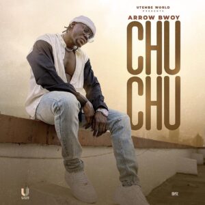 DOWNLOAD MP3 Arrow Bwoy - Chu Chu
