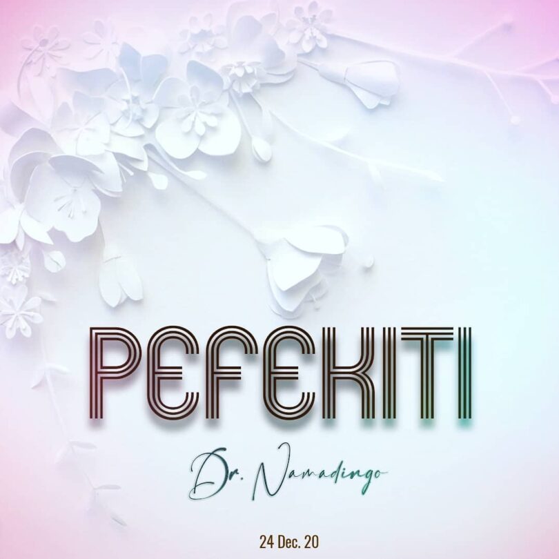 DOWNLOAD MP3 Namadingo - Pefekiti