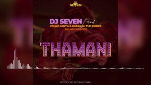 DOWNLOD MP3 Young Lunya, Baraka Da Prince, Salmin Swaggz - Thamani Ft Dj Seven
