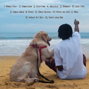 DOWNLOAD MP3 Fireboy Dml - Vibration AUDIO