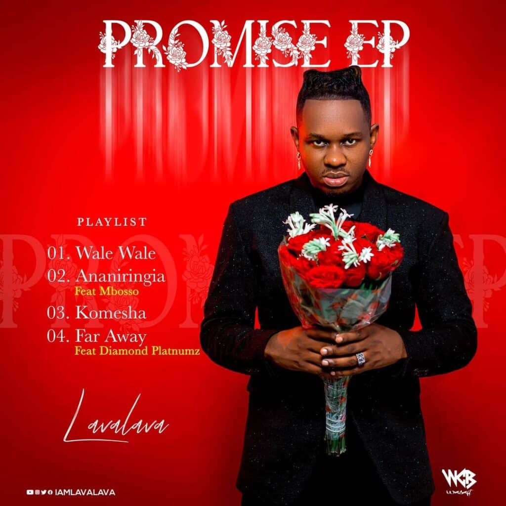 AUDIO Lava Lava - Far Away Ft Diamond Platnumz MP3 DOWNLOAD