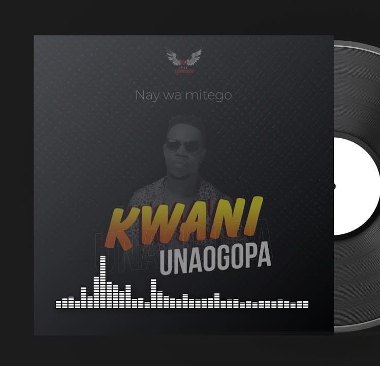 AUDIO Nay Wa Mitego Kwani Unaogopa MP3 DOWNLOAD — citiMuzik