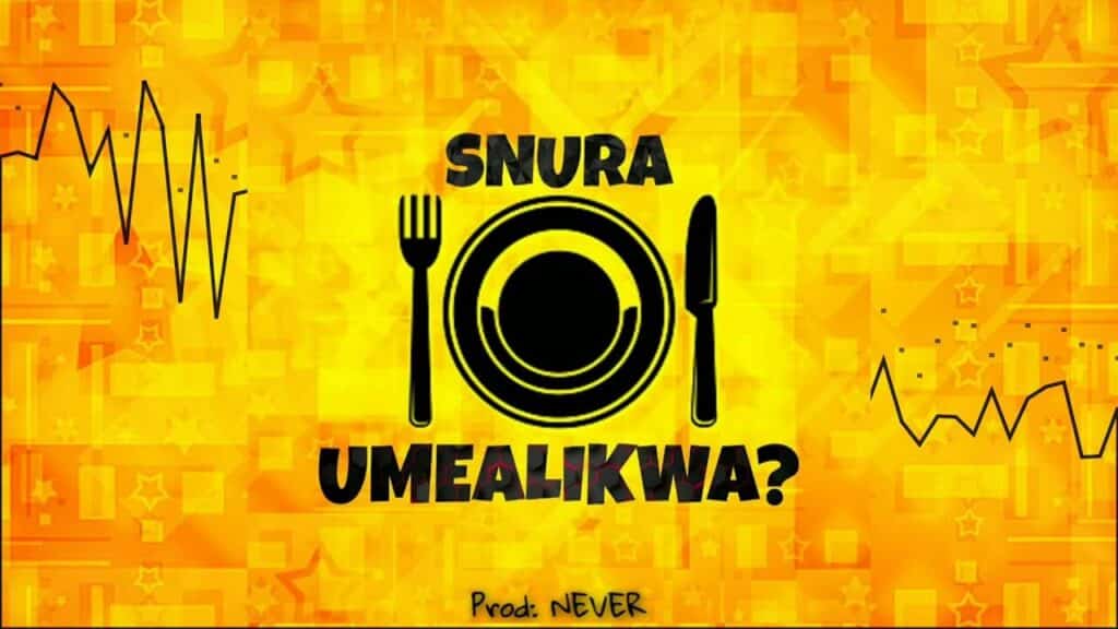 AUDIO Snura - UMEALIKWA? MP3 DOWNLOAD