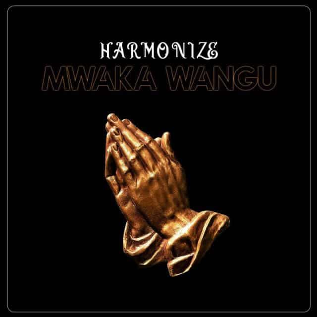 AUDIO Harmonize – Mwaka Wangu MP3 DOWNLOAD