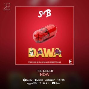 AUDIO Sat-B - Dawa MP3 DOWNLOAD