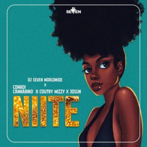 AUDIO Dj Seven - Niite Ft. Country Wizzy X Joslin X Conboi Cannabino MP3 DOWNLOAD