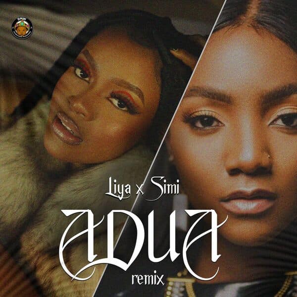 муле корона философски AUDIO Liya Ft. Simi - Adua (Remix) MP3 DOWNLOAD — citiMuzik