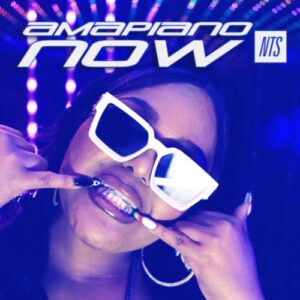 AUDIO DBN Gogo Ft. Musa Keys X Dinho X Lebza The Villain - Possible MP3 DOWNLOAD