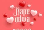 AUDIO Mocco Genius - Napendwa MP3 DOWNLOAD