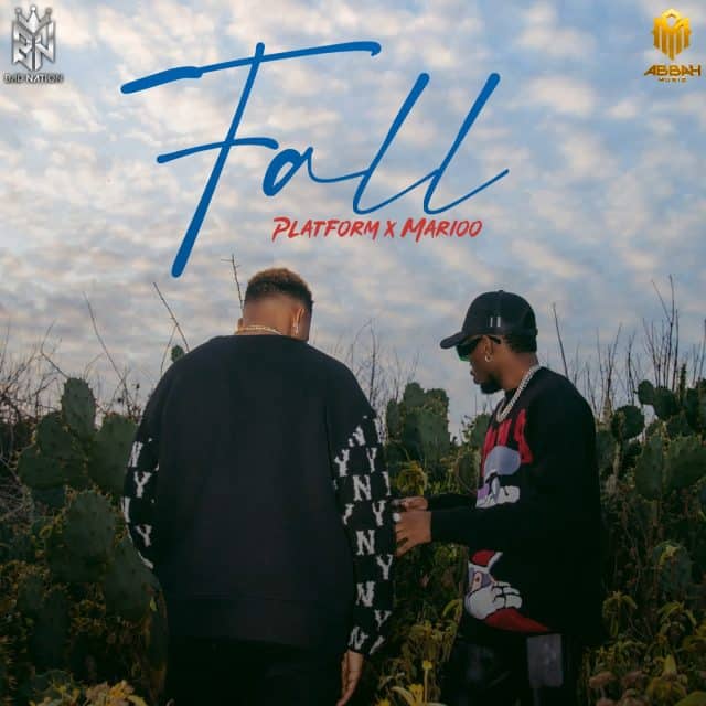 AUDIO Platform Tz Ft. Marioo - Fall MP3 DOWNLOAD
