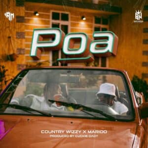 AUDIO Country Wizzy Ft Marioo - Poa MP3 DOWNLOAD