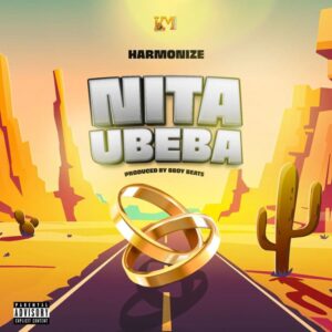 AUDIO Harmonize – Nitaubeba MP3