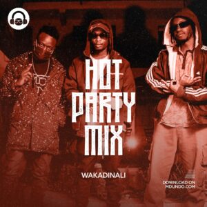 Download Hot Party Mix Ft Wakadinali on Mdundo