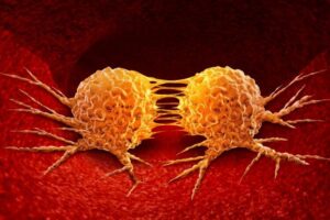 How does cancer grow and spread?