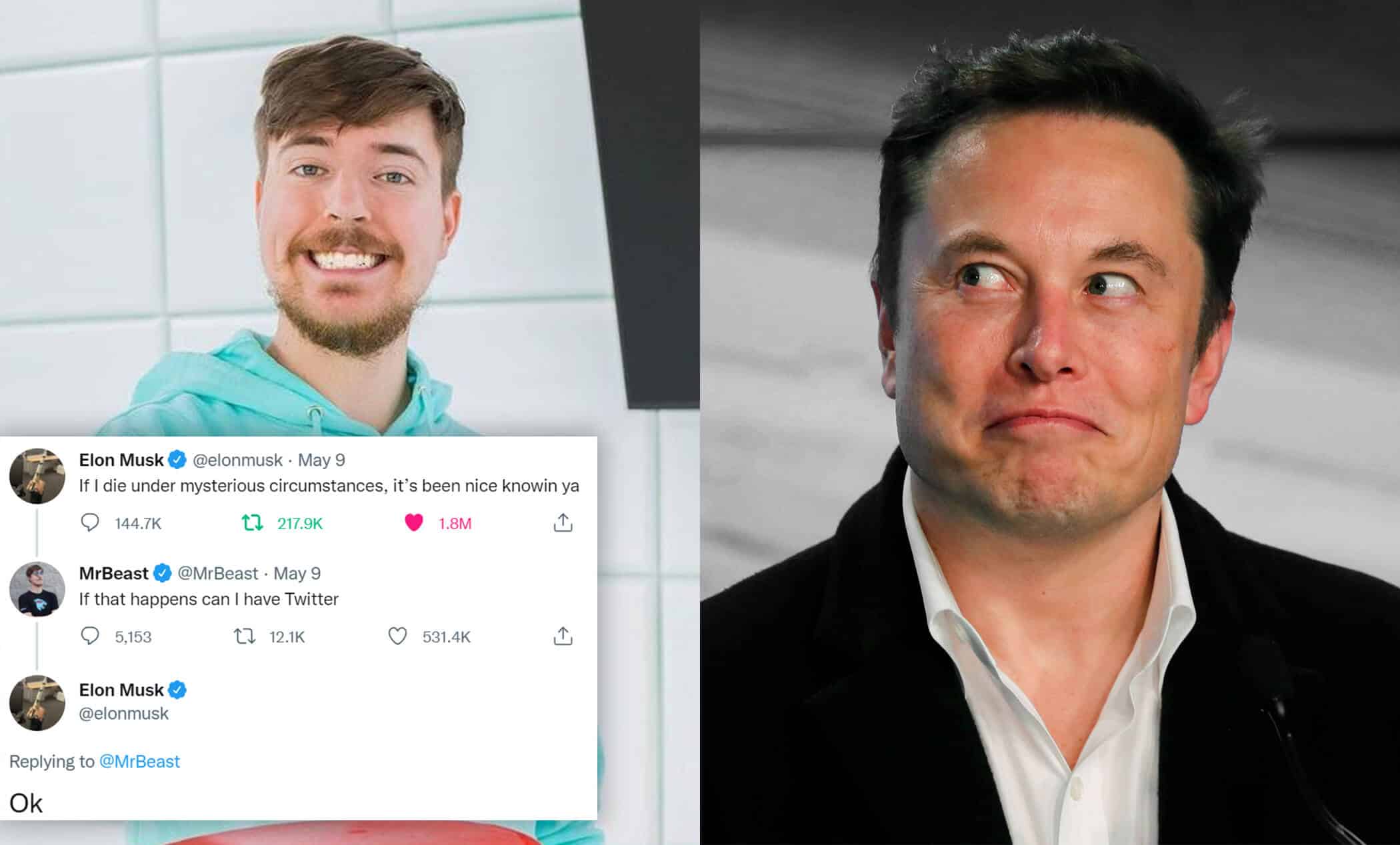 MrBeast Twitter CEO: World's Most Popular r Asks If He Can Be  Twitter CEO. Elon Musk Responds