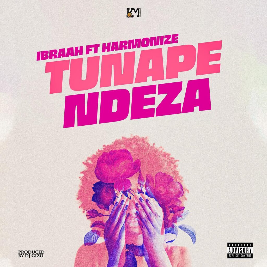AUDIO Ibraah - Tunapendeza Ft Harmonize MP3 DOWNLOAD
