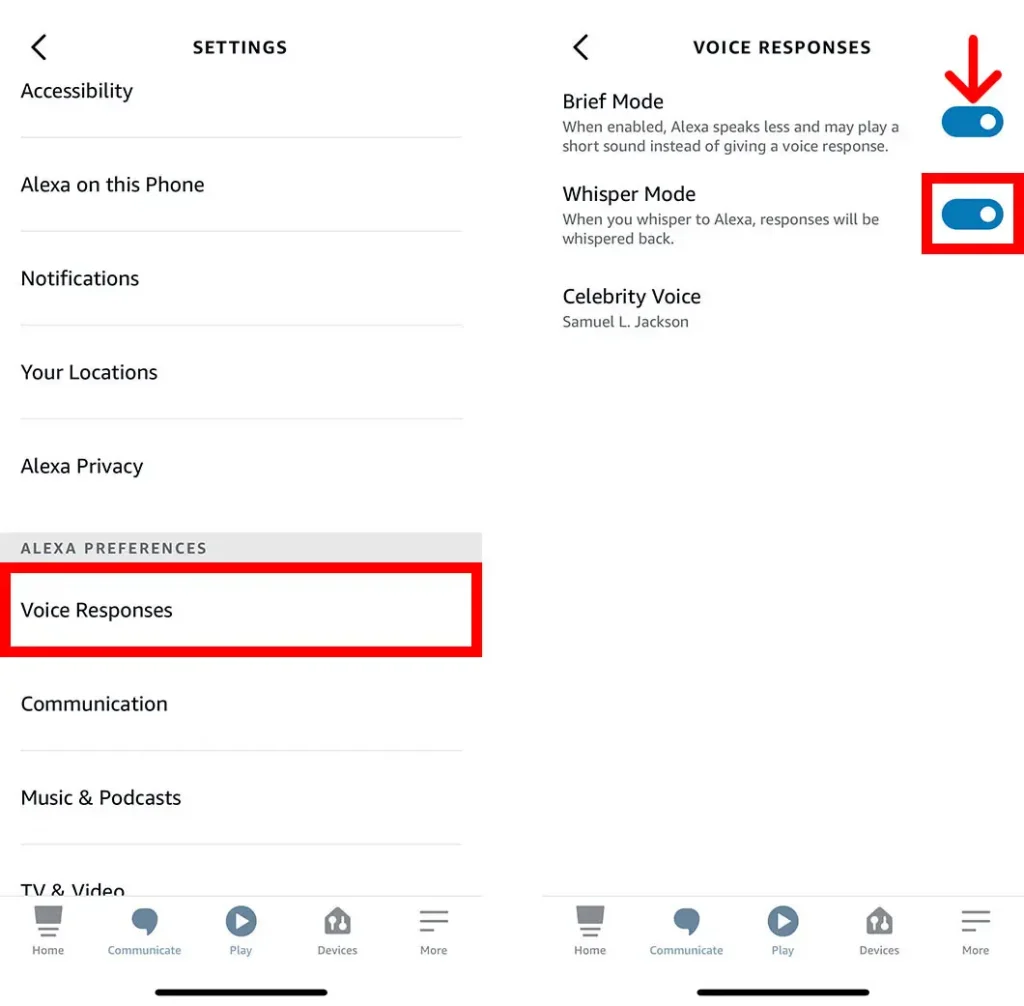 How to Change Alexa Voice Accent and Language 2023 — citiMuzik