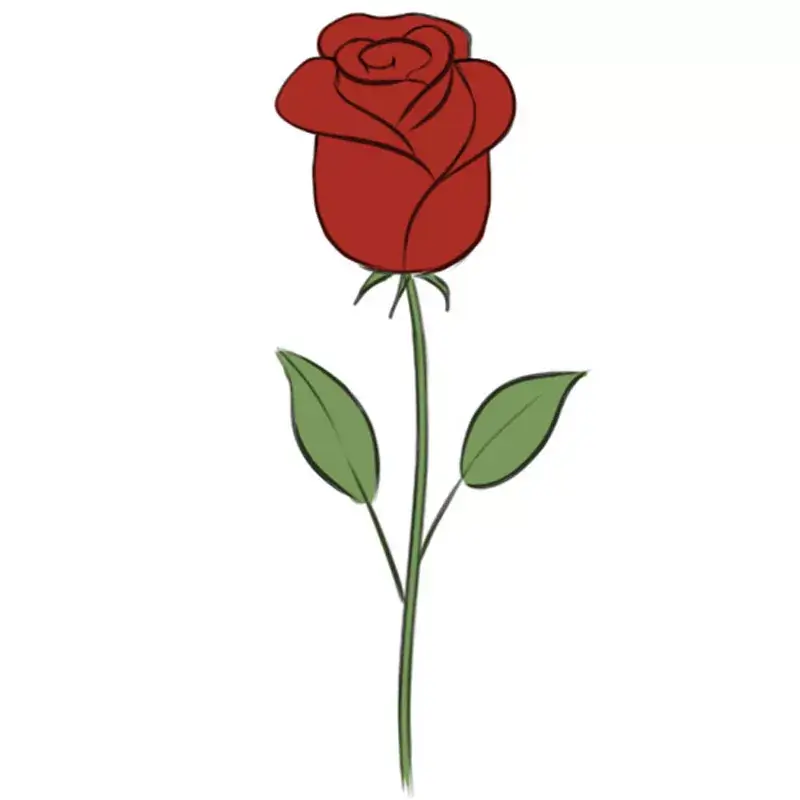 How to draw a Rose — citiMuzik