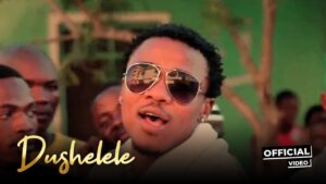 VIDEO Alikiba - Dushelele MP4 DOWNLOAD
