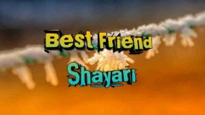 50 Best Friendship Shayari in hindi 2023