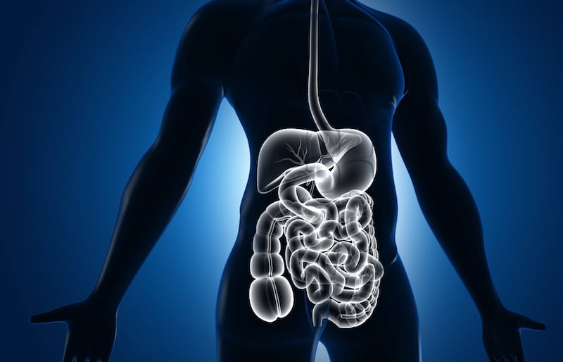 Coriander And Its Health Benefits, Uses, and Nutritional Facts — citiMuzik