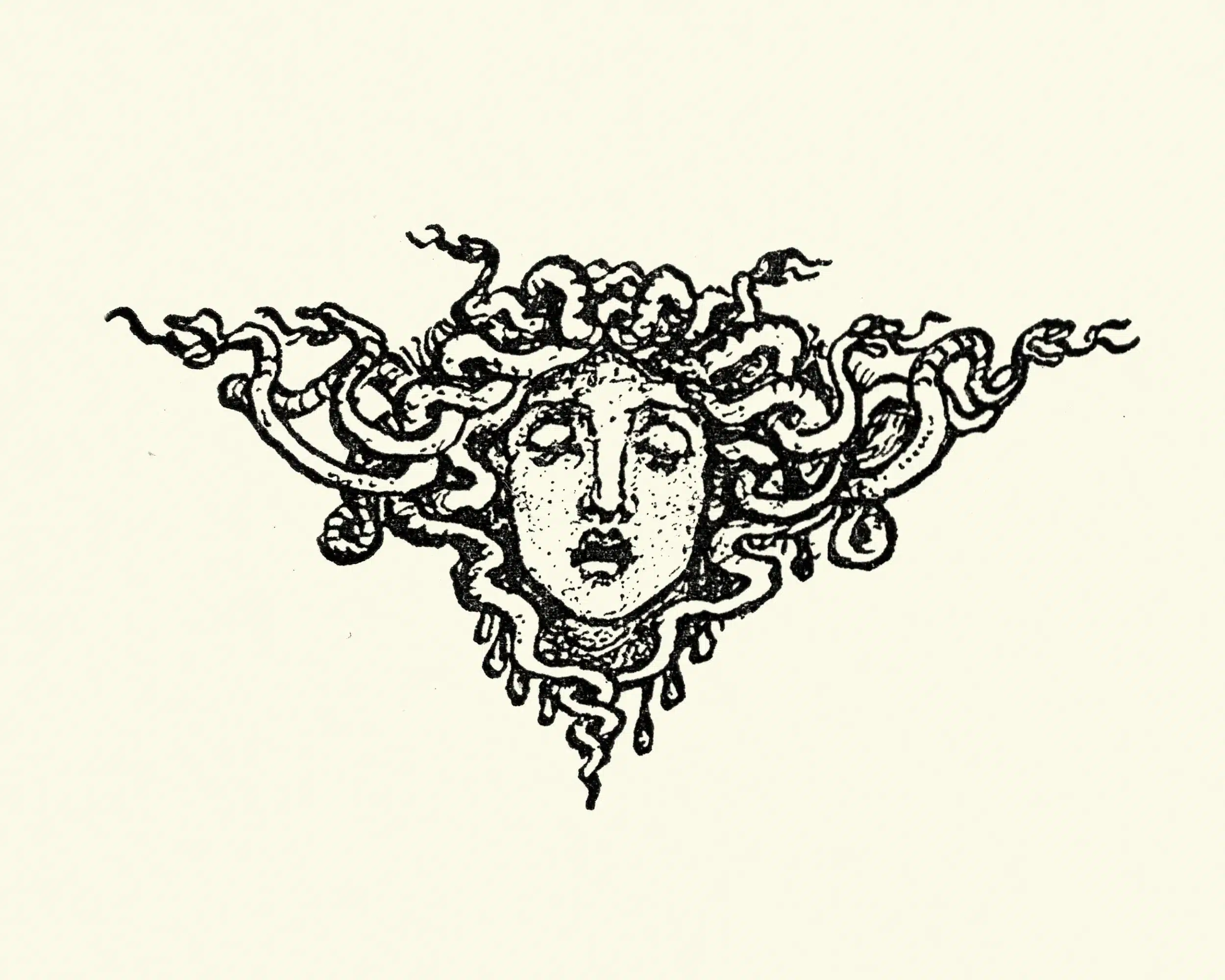 What does the Medusa tattoo mean to women  CNC Tattoo Supply