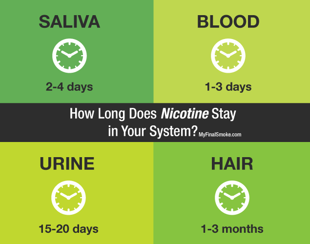 How long does Nicotine stay in your System?