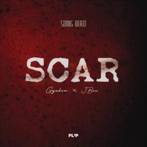 Gyakie Ft JBEE - Scar Lyrics
