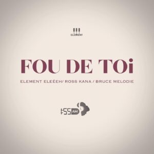 AUDIO Element Eleeeh - Fou De Toi Ft Ross Kana X Bruce Melodie MP3 DOWNLOAD