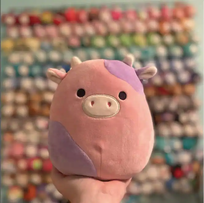 What is the Rarest Squishmallow in 2023? Top 10 List — citiMuzik
