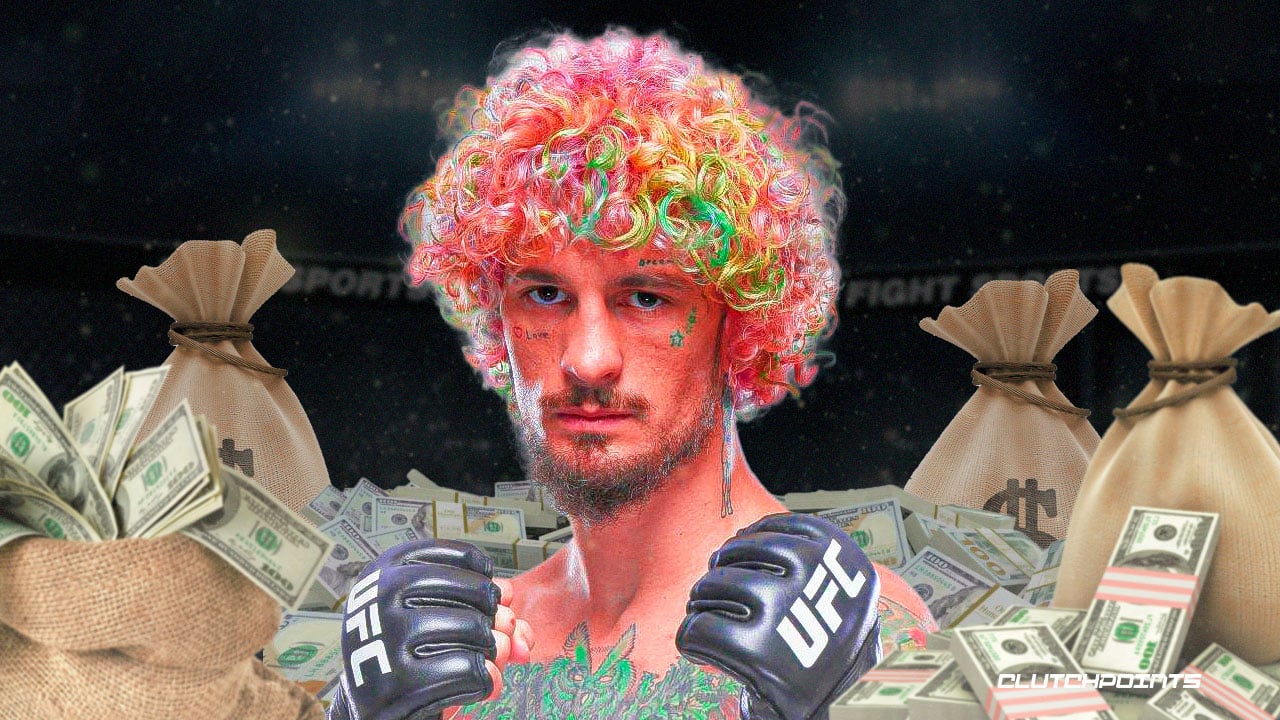 Sean O'Malley Net Worth Knocking Out the Dollars — citiMuzik