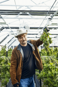 Jim Belushi Net Worth