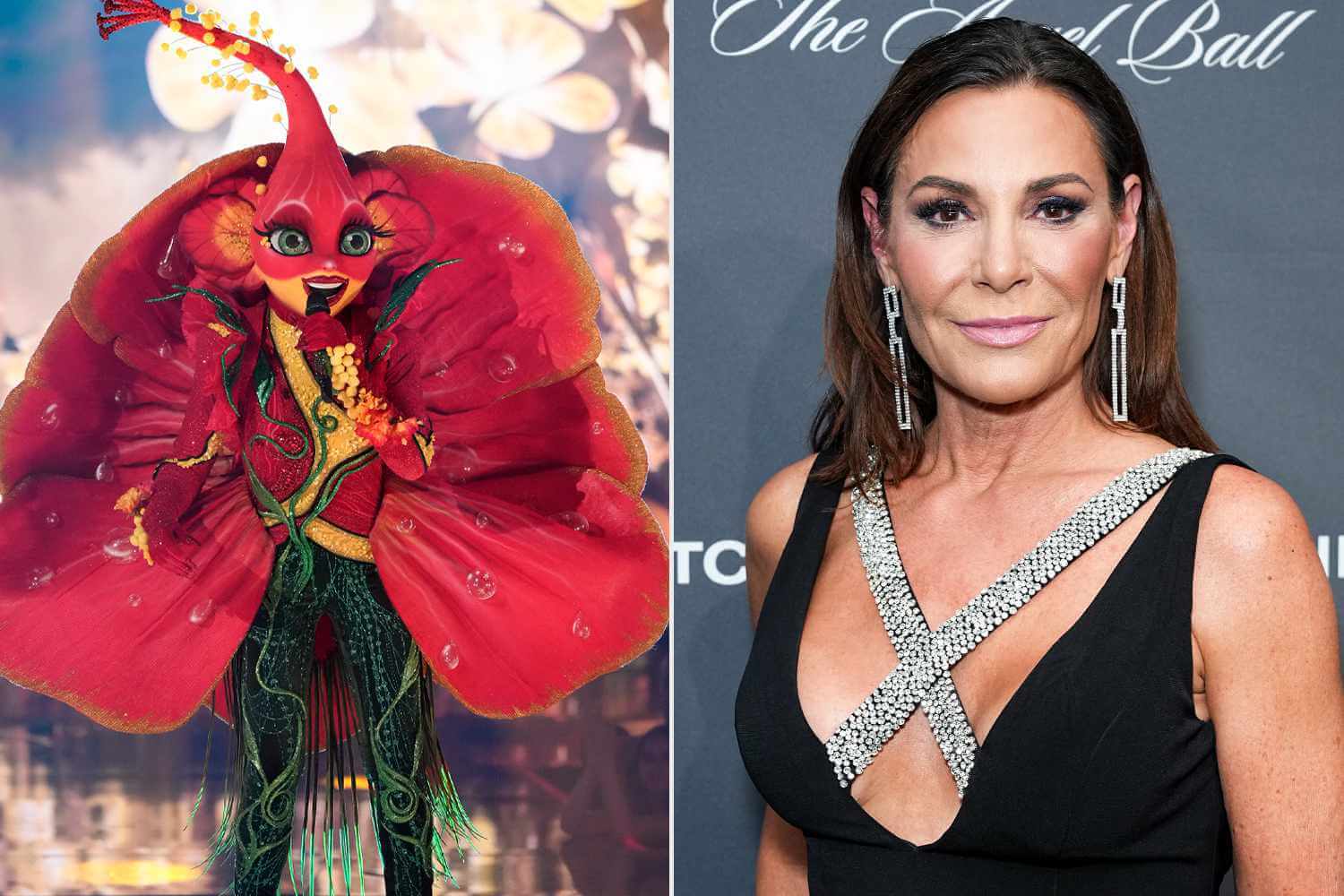 Unmasking the Enigmatic Hibiscus A Star Revealed on 'The Masked Singer
