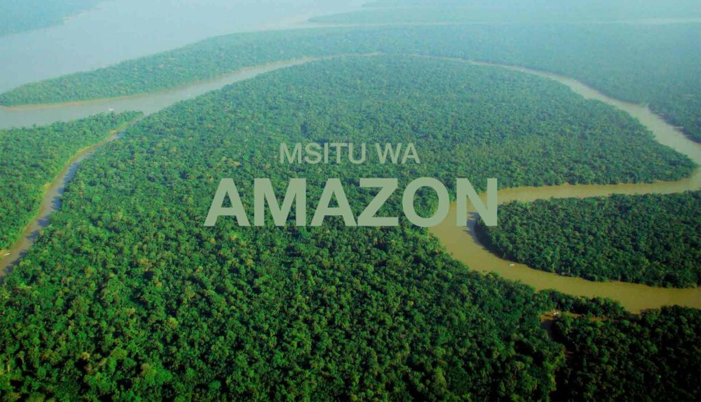 Maajabu Tisa ya Msitu wa Amazon