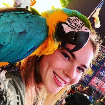 Charlotte Powdrell: The Rising Star in the Art World - citiMuzik