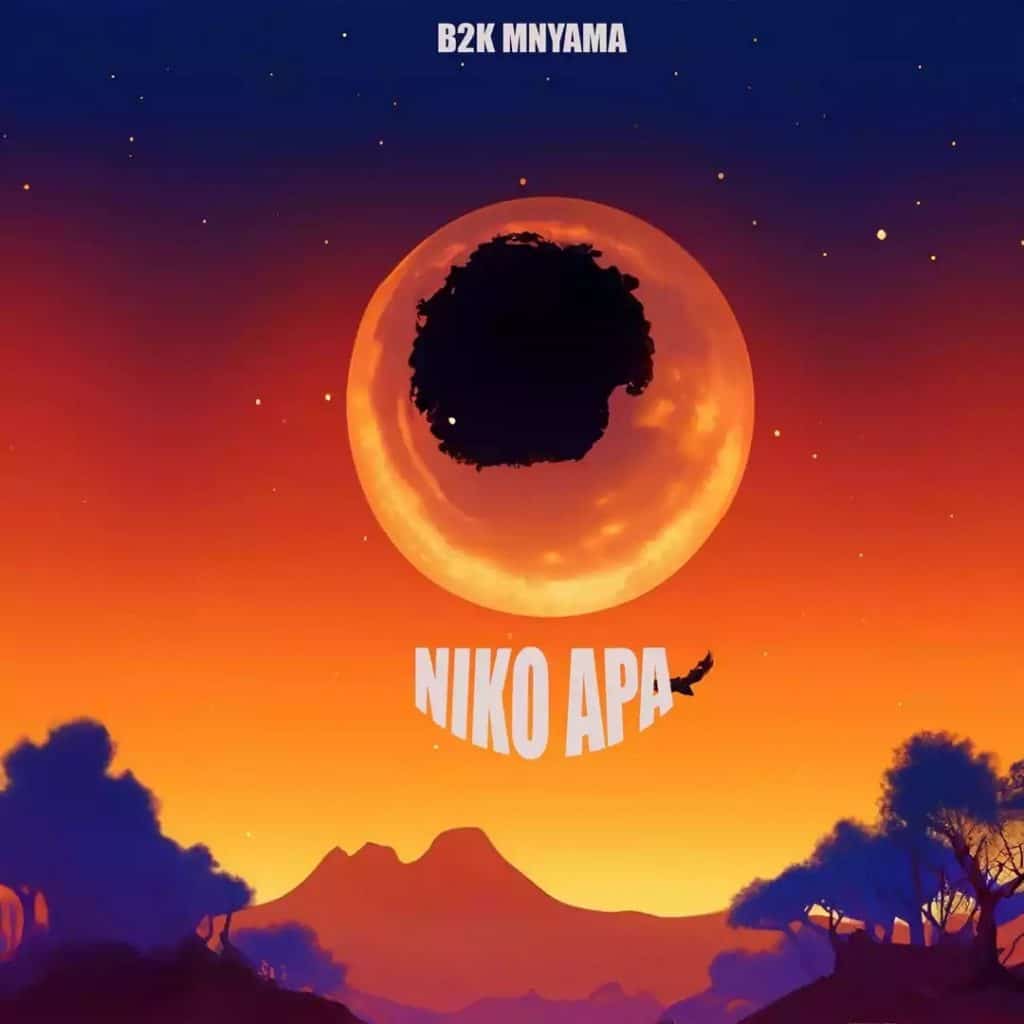 AUDIO B2K Mnyama - Niko Apa MP3 DOWNLOAD