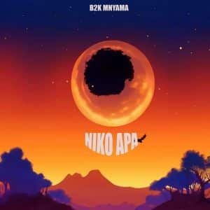 AUDIO B2K Mnyama - Niko Apa MP3 DOWNLOAD