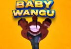 AUDIO Mzee Wa Bwax Ft. Meja Kunta - Baby Wangu MP3 DOWNLOAD