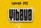AUDIO Hamis BSS - Vibaya MP3 DOWNLOAD
