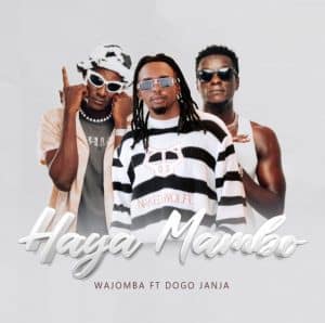 AUDIO Wajomba Ft Dogo Janja – Haya Mambo MP3 DOWNLOAD