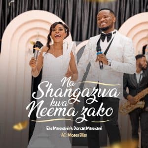 AUDIO Elie Malekani Ft Dorcas Malekani - Nashangazwa kwa Neema Zako MP3 DOWNLOAD